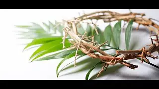 Palm Sunday: a Parade of Witnesses
