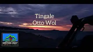 Tingle - Otto Wol