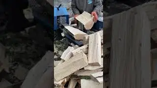 Timber Tech Marvel: The Precision of Hydraulic Woodcutting Machinery #woodworking #firewood