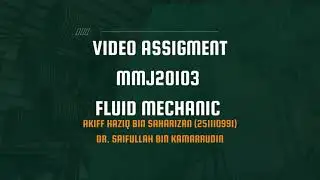 Video Assignment Fluid Mechanics 