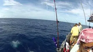 Wahoo! on the La Pesca