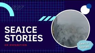 SeaiceStories on Expedition - E25: Calm cruising in the Labrador Sea