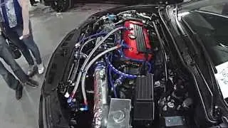 Honda Accord CL 9 KILLER WHALE