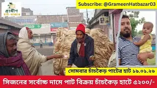 সিজনের সর্বোচ্চ দামে পাট বিক্রয়! চাঁচকৈড় হাটে ৫২০০ টাকা 🔥 | ১৯.০১.২৬