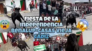 Fiesta de la independencia benalup