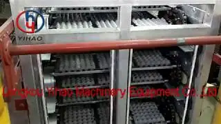Drying line of egg tray machine made in China