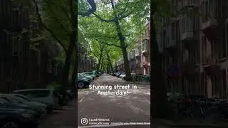 The most unique street in Amsterdam!