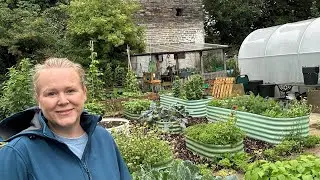 A little plant haul and lot of overwhelm! The garden and allotment in July