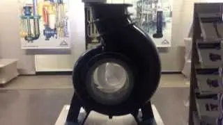 Футерованный химический насос Friatec RNP