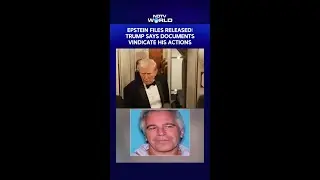 Epstein Files Released: Trump Says Documents Vindicate His Actions