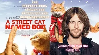 James with Bob the stray cat#movie #moviemovie #电影解说 #電影 #film #影视解说