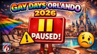 Everyone's talking about Gay Days Orlando being paused for 2026