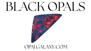 6.53ct Solid Black Opal Triangle Shape Gem Rainbow Fire