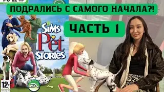 The Sims. Истории о питомцах. Прохождение. Часть 1 - Знакомство с героями и злодеями