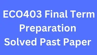 ECO403 Final term Preparation Solved Past Papers