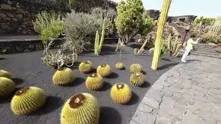 Jard&iacute;n de Cactus (The Cactus Garden) Lanzarote 4K