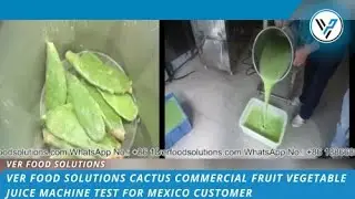 VER Food Solutions Cactus Commercial Fruit Vegetable Juice Machine Test for Mexico Customer