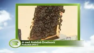 Ukradena oprema koja može da prepozna LAŽNI med!