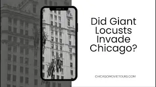 Did Giant Locusts Invade Chicago in 1957?