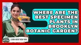 Where Are The Best Specimen Plants In Brooklyn Botanic Garden? - Learn About New York