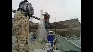 Crazy!!! Catfish bite on artificial and live bait!