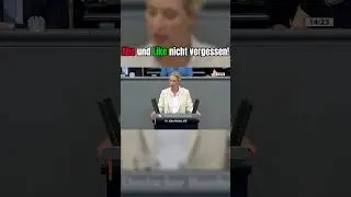 🚨 Alice Weidel: 💸 Syrer-Kosten so hoch wie 💂&zwj;♂️ Bundespolizei-Budget!  #afd #bundestag  #shorts