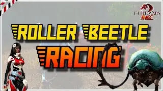 Guild Wars 2 | Bonus Events | Roller Beetle Racing
