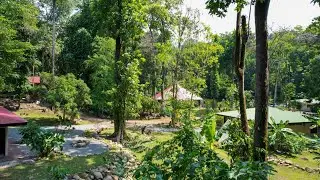 Riverfront Property with Multiple Homes & Expansion Potential FOR SALE in  Costa Rica (Drone Tour)
