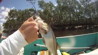 Pescaria de robalos com mosca. Fly fishing. FLYSHOP BRASIL.