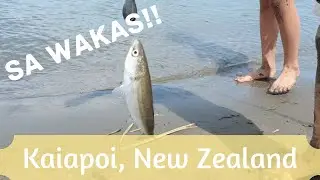 FINALLY caught fish! | Feb 2020 @missjacquit