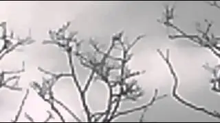 Aeropower Bell 212 VH-UEC flyby
