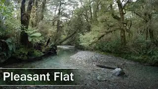 Pleasant Flat Walk, Haast Pass, New Zealand | 4K