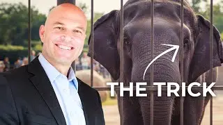 The Purple Elephant Test (Why Your Marketing Fails)