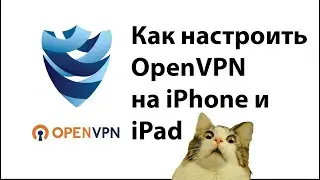 Как настроить OpenVPN на iPhone и iPad