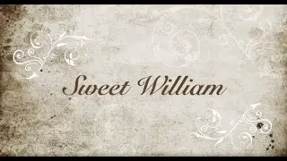 Sweet William - Michael Pennington is Shakespeare