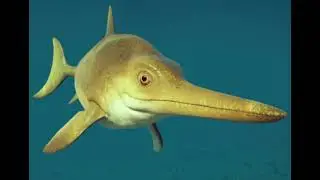 ichthyosaurus communis sounds J.P