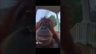 Uh oh stinky OOOWAOOHOA #monkey #funny #ai #memes