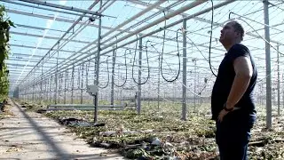 At the aubergine farm with Dirk van Duijvenbode
