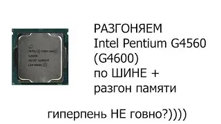 РАЗГОН PENTIUM G4560 + ТЕСТЫ В ИГРАХ