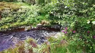 Lews Castle Grounds Stream | Hebridean Minutes