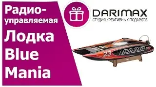 Радиоуправляемая Blue Mania купить в Москве в интернет-магазине подарков.