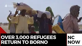 Nigeria, Cameroon, UNHCR Coordinate Return of 3,000 Refugees to Borno