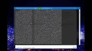 Bitcoin hunter API blockchain
