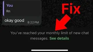 Вы достигли месячного лимита новых сообщений в чате WhatsApp.