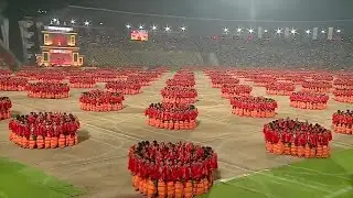 Bagu rumba #butterfly dance #butterflies of Assam #Assam #viralvideo