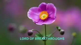 LORD OF BREAKTHROUGHS (BAAL PERAZIM)