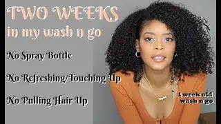 TWO WEEKS in my Wash and Go | Natural Hair 3C 4A