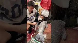 making carp part (2) #tilapia #fishcuting #fishing #fish #fishcuttingskill#carp #carparking