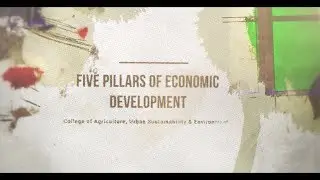 CAUSES Mini Lecture: The Five  Pillars of Economic Development