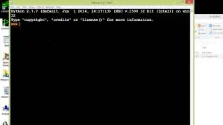 Running Python Programmer in Interactive Mode